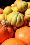 Local fruit and vegetables